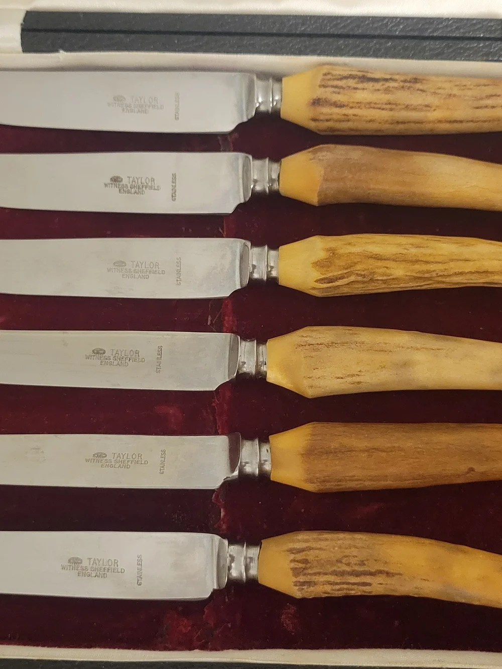 Vintage Taylor’s Eye Witness Sheffield England 6-Piece Table Knife Set with Case